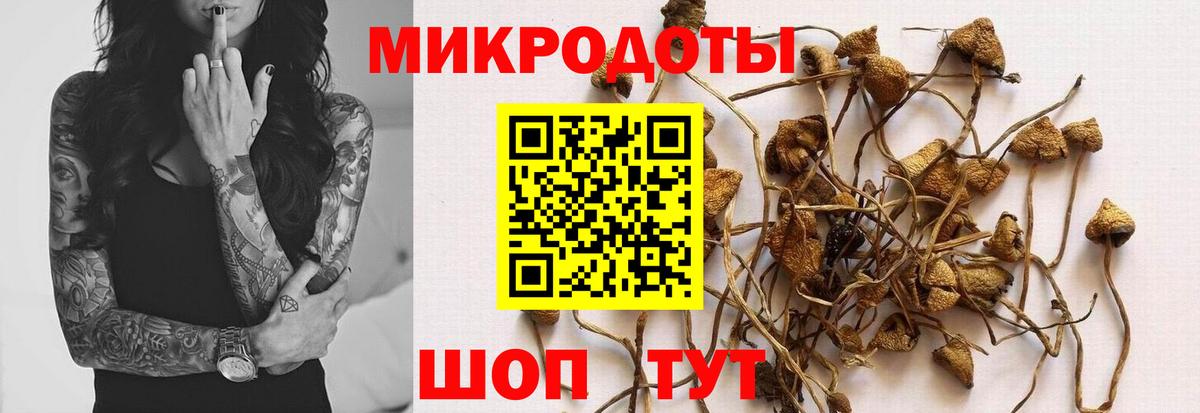 Галлюциногенные грибы GOLDEN TEACHER  Вход с VPN  Моршанск 