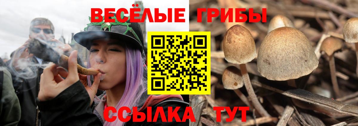 Галлюциногенные грибы прущие грибы Моршанск
